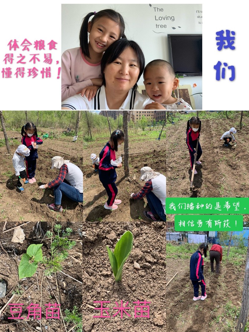 雷火竞技平台